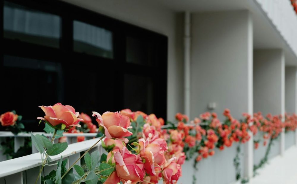 telecamera da esterno senza fili