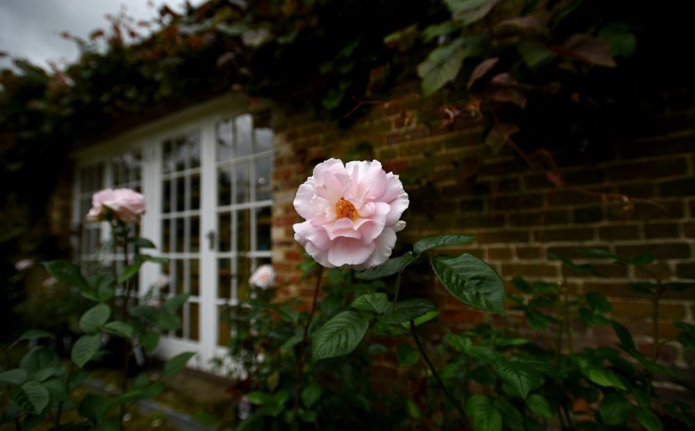 telecamera camuffata per esterno